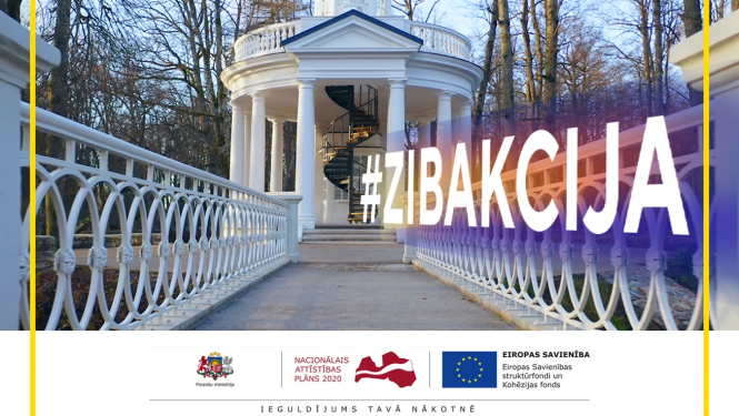 zibakcija
