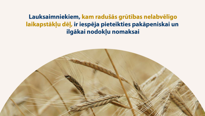 Attēlā redzamas labības vārpas pilnbriedā, uz attēla ir reksts "Lauksaimniekiem, kuriem radušās grūtības nelabvēlīgu laikapstākļu dēļ, ir iespēja pieteikties pakāpeniskai un ilgākai nodokļu nomaksai"