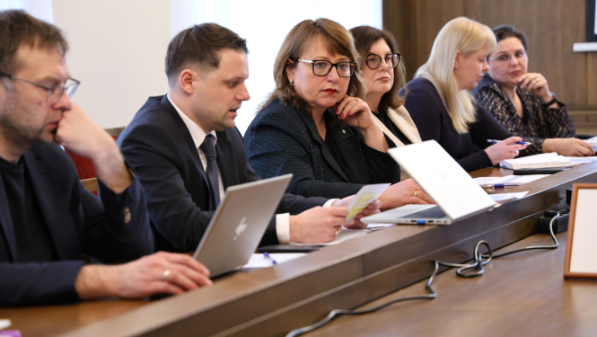 Diskutē par Ēnu ekonomikas ierobežošanas plāna pasākumu ieviešanas progresu
