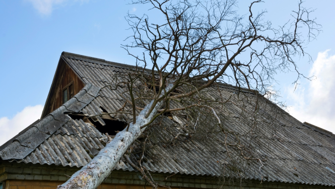 Uz mājas jumta uzkritis koks tajā izsitot caurumu
