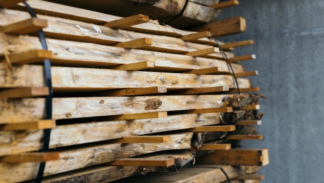 koka dēļi