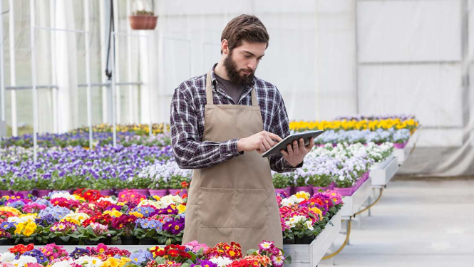 Vīrietis ziedu siltumnīcā ar planšetdatoru rokās