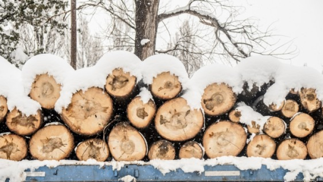 Attēlā redzami koka baļķi