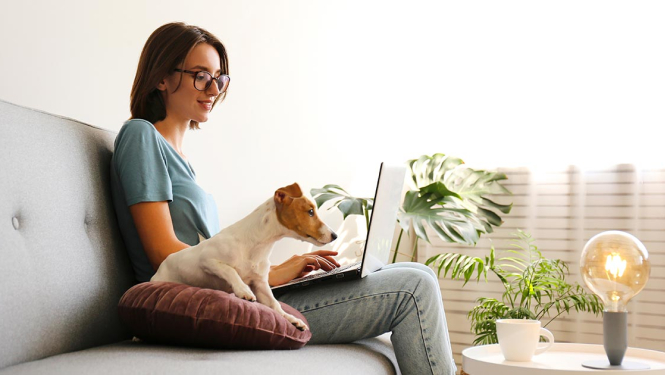 Sieviete ar suni klēpī sēž dīvānā un strādā ar datoru