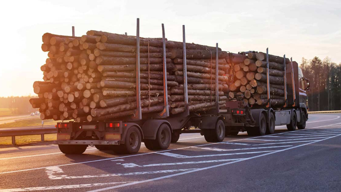 Kravas mašīna piepildīda ar koka baļķiem