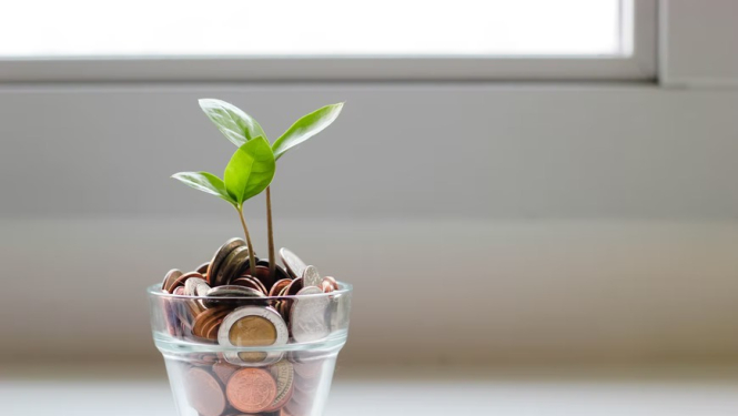 Asns glāzē ar naudu