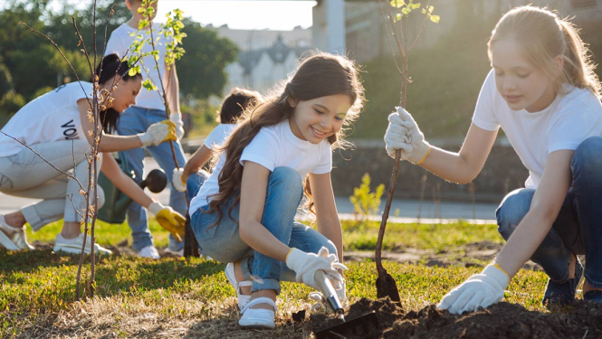 Jaunieši stāda kociņus