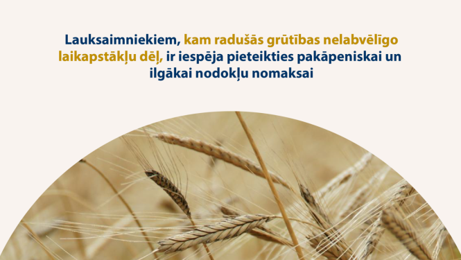 Attēlā redzamas labības vārpas pilnbriedā, uz attēla ir reksts "Lauksaimniekiem, kuriem radušās grūtības nelabvēlīgu laikapstākļu dēļ, ir iespēja pieteikties pakāpeniskai un ilgākai nodokļu nomaksai"