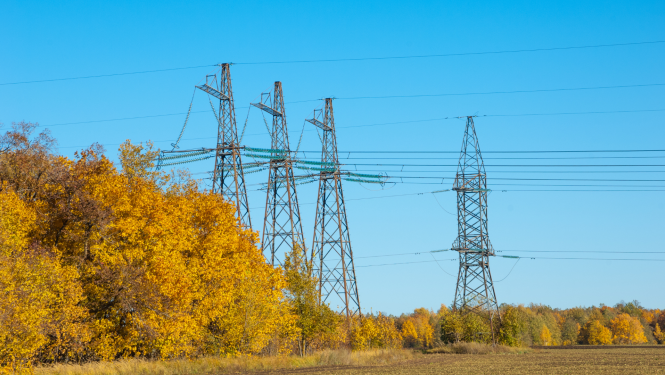 Ainava ar kokiem ar dzeltenam lapām un elektrības stabiem tālumā uz zilu debesu fona
