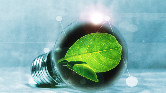 Ilustratīvs attēls spuldze un zaļa lapa