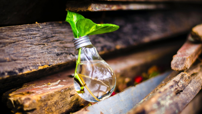 Zaļš asns spuldzītē