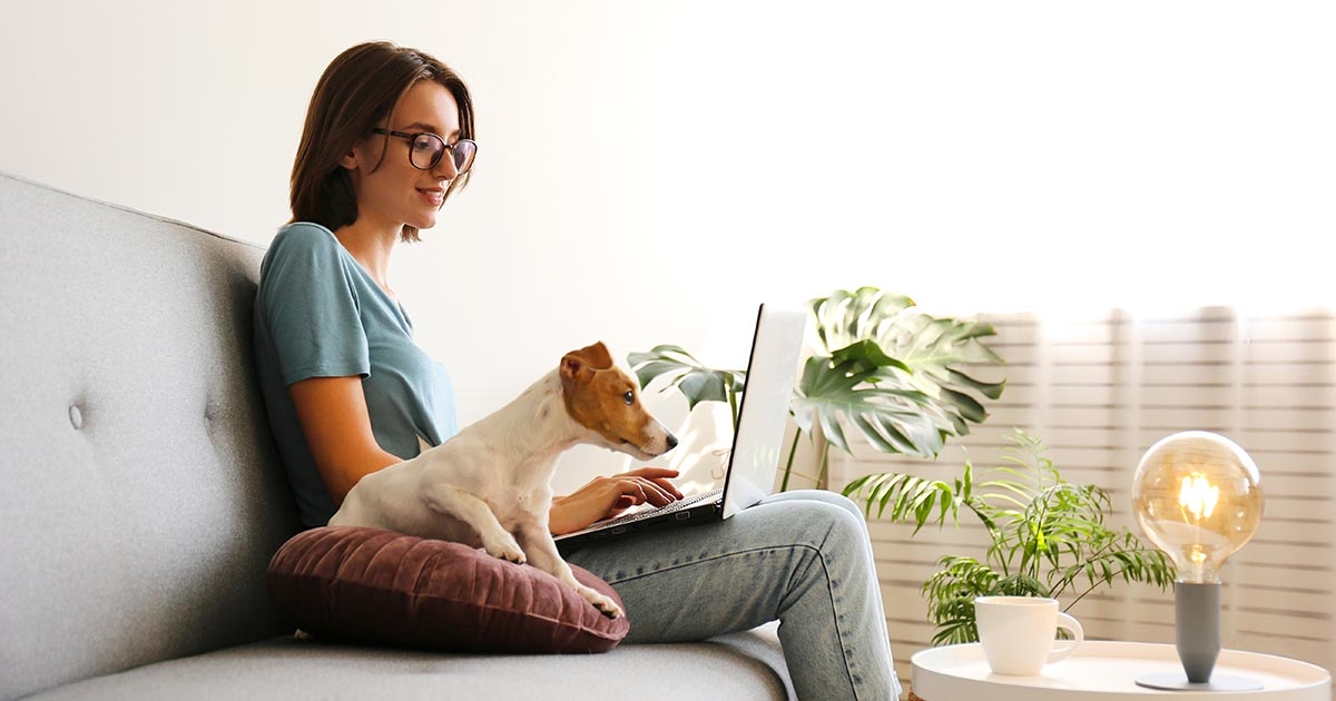 Sieviete ar suni klēpī sēž dīvānā un strādā ar datoru