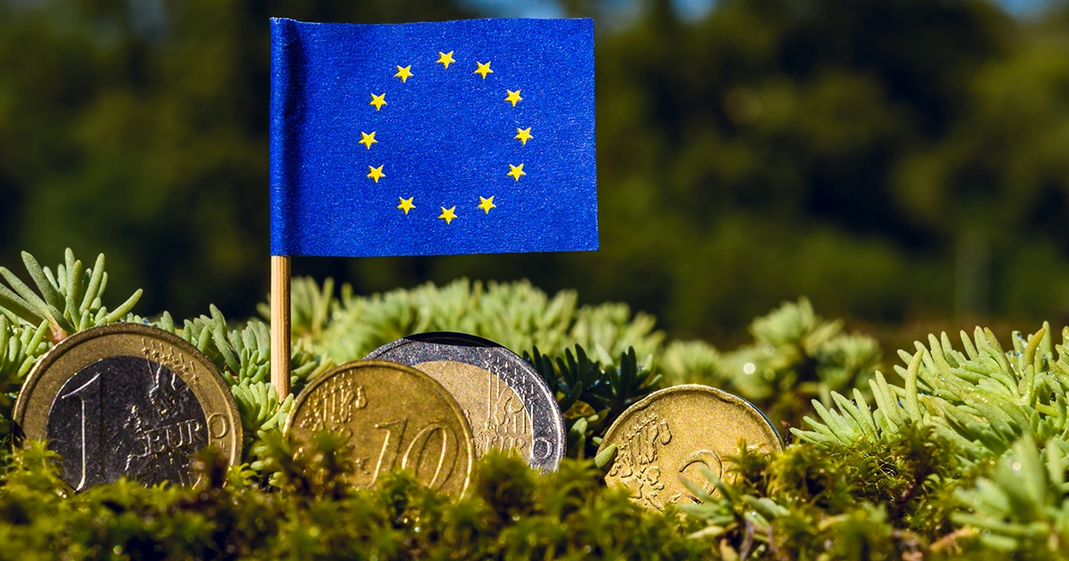 ES karodziņš zālē ar eiro monētām